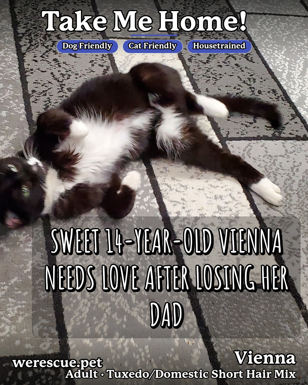 Vienna's social media photos post