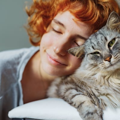 How to Choose the Perfect Cat for Your Lifestyle image
