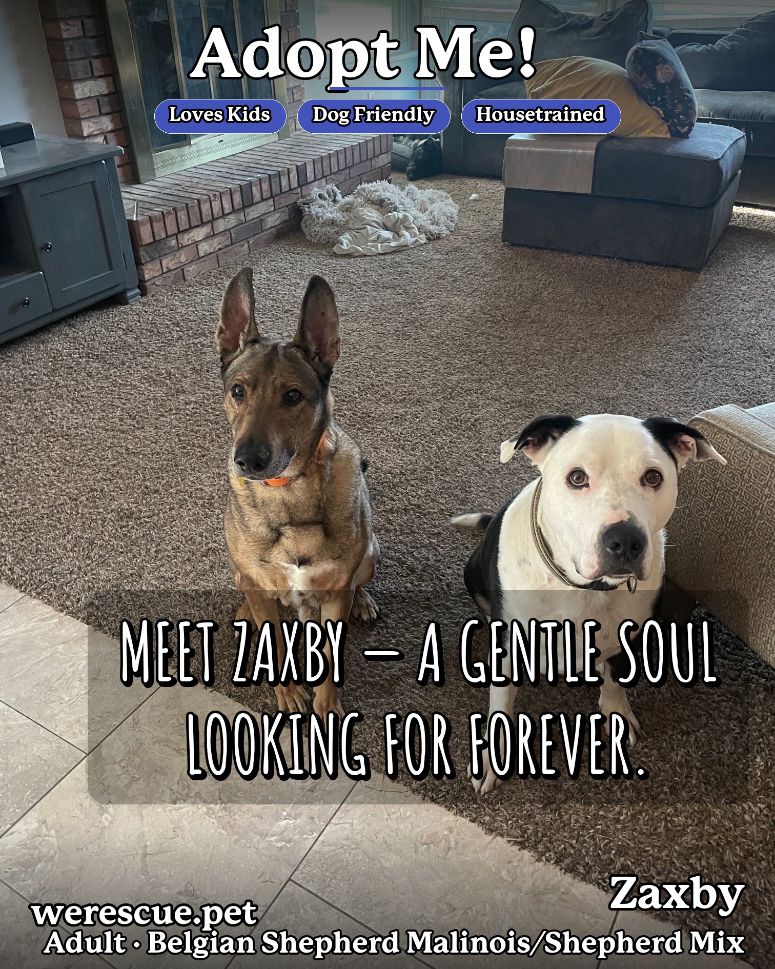 Zaxby's social media photos post