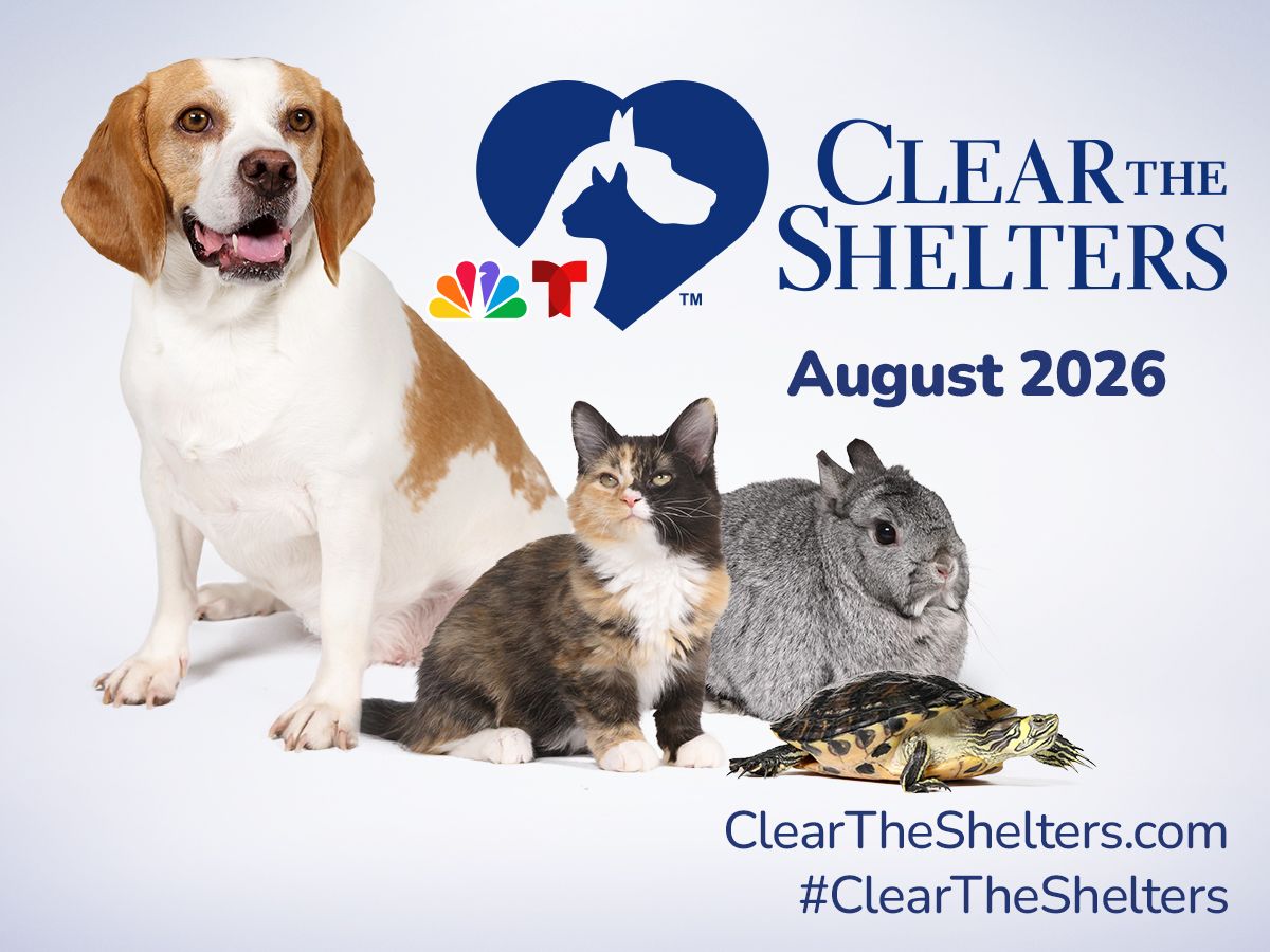 Clear The Shelters 2026