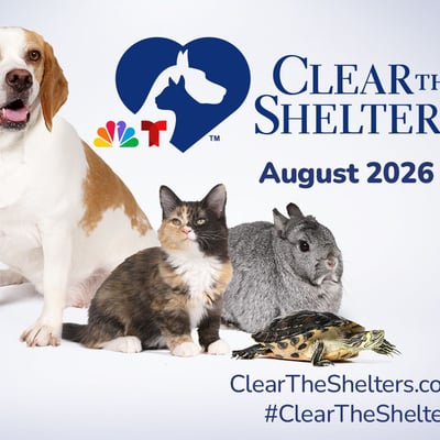 Clear The Shelters 2026: 135,000+ Adoptions and the Technology Behind Them