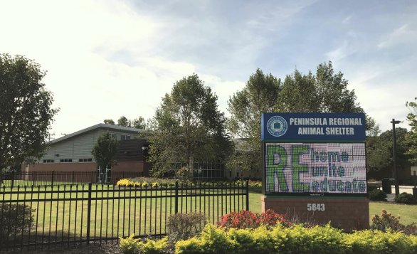 Peninsula Regional Animal Shelter facility