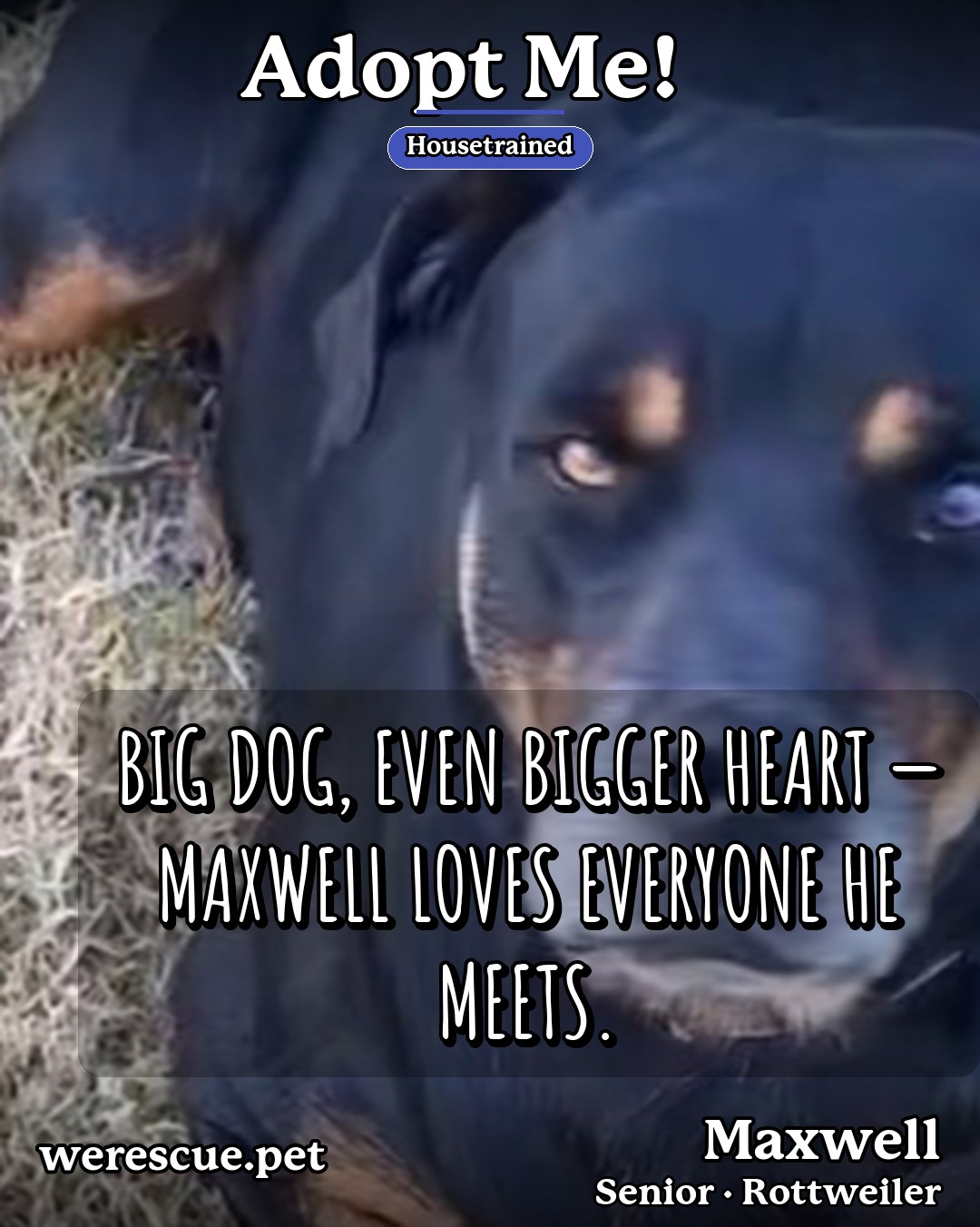 Maxwell's social media photos post