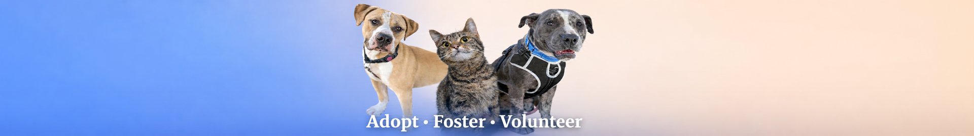 Nassau County Animal Services