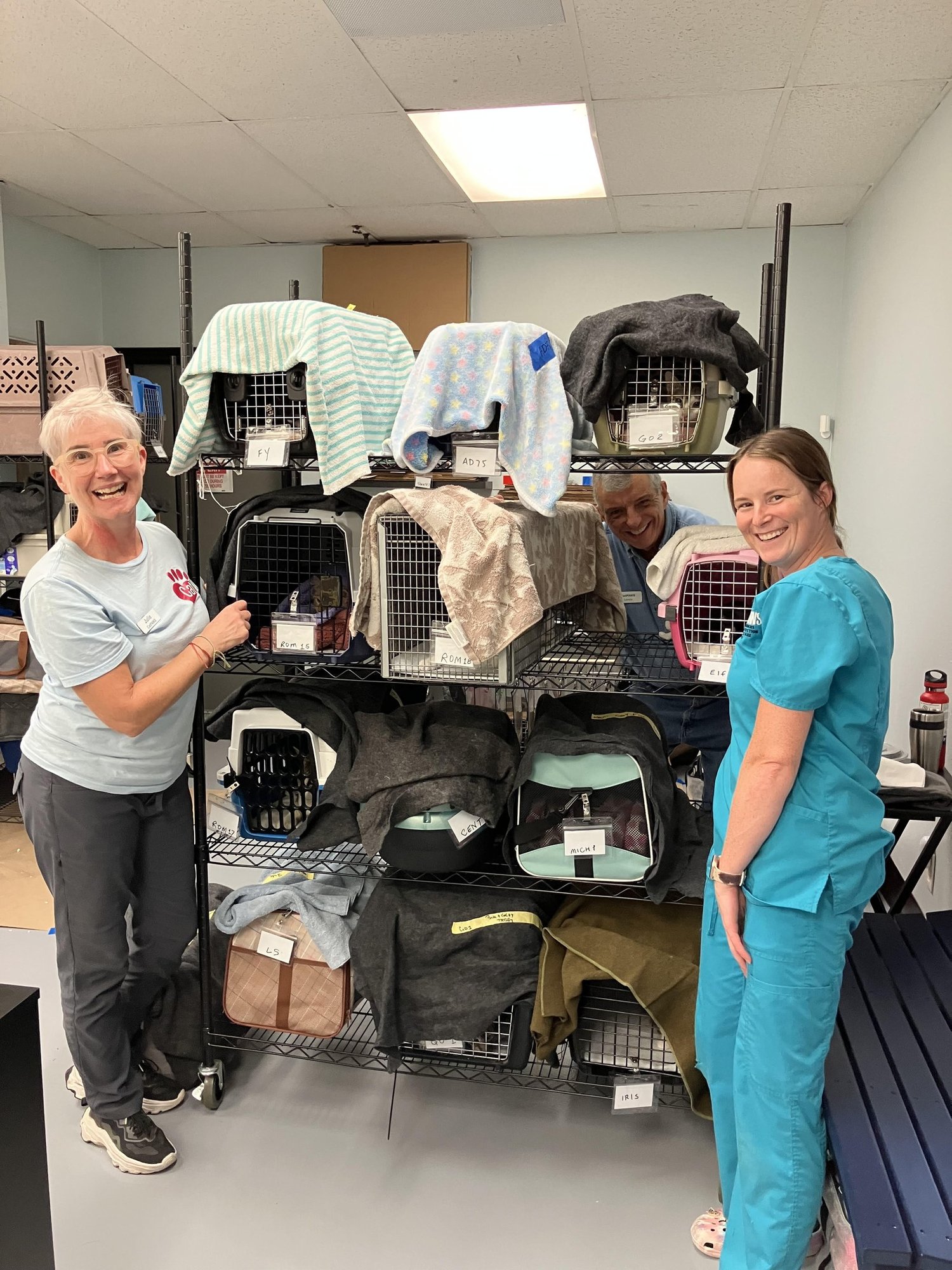 Low and no cost Community cat spay and neuter