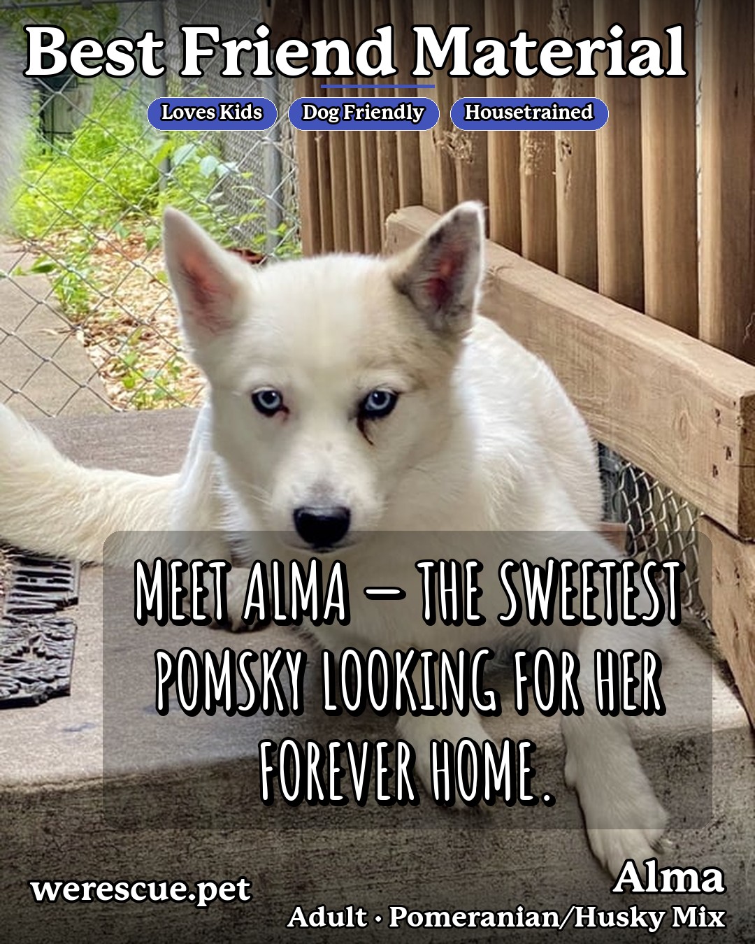Alma's social media slideshow post