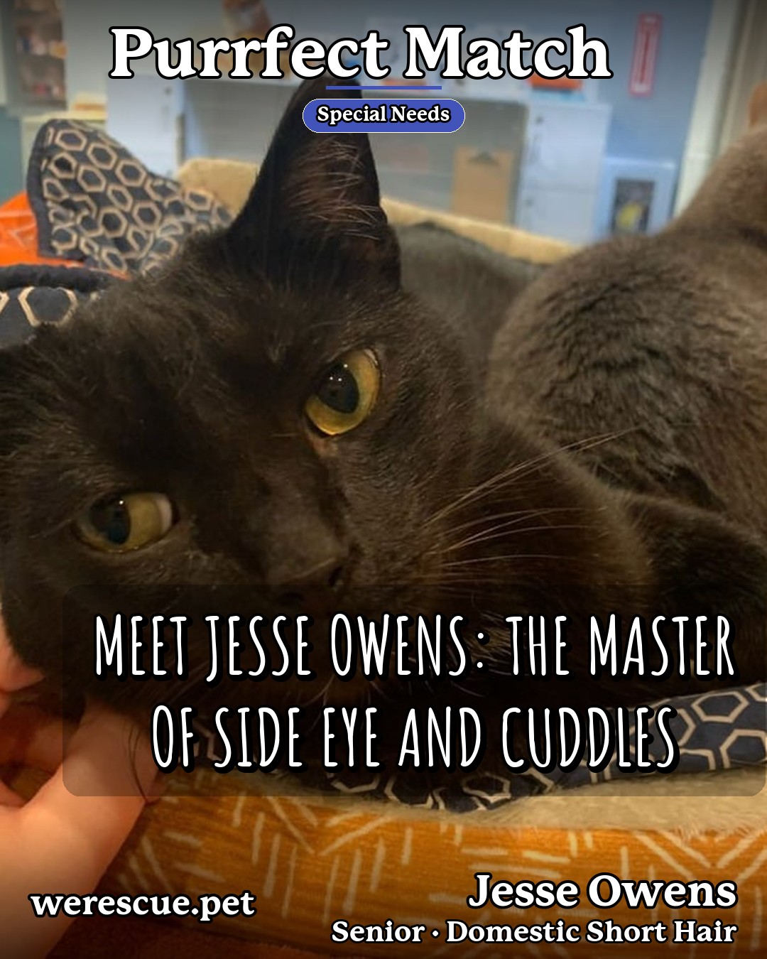 Jesse Owens's social media photos post