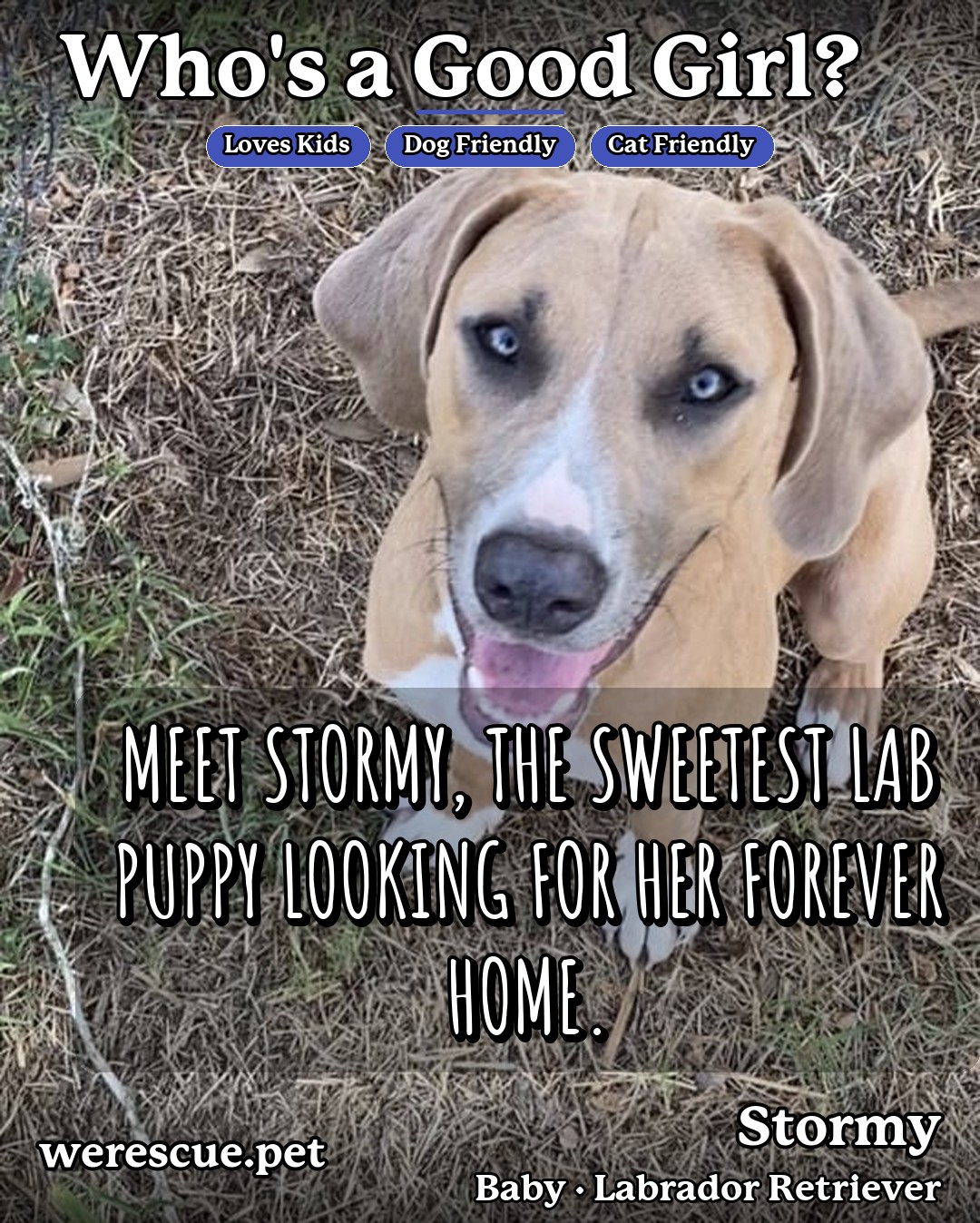 Stormy's social media photos post