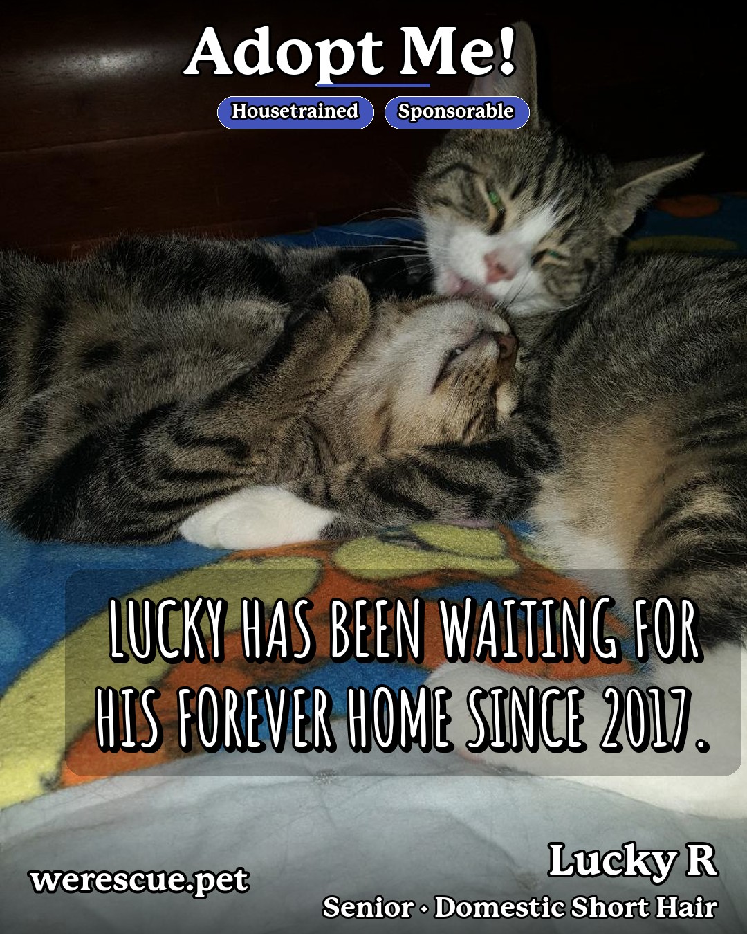 Lucky R's social media slideshow post