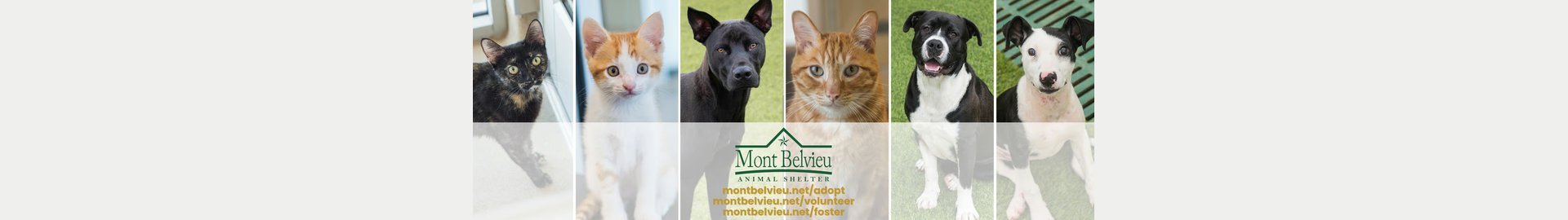 Mont Belvieu Animal Shelter