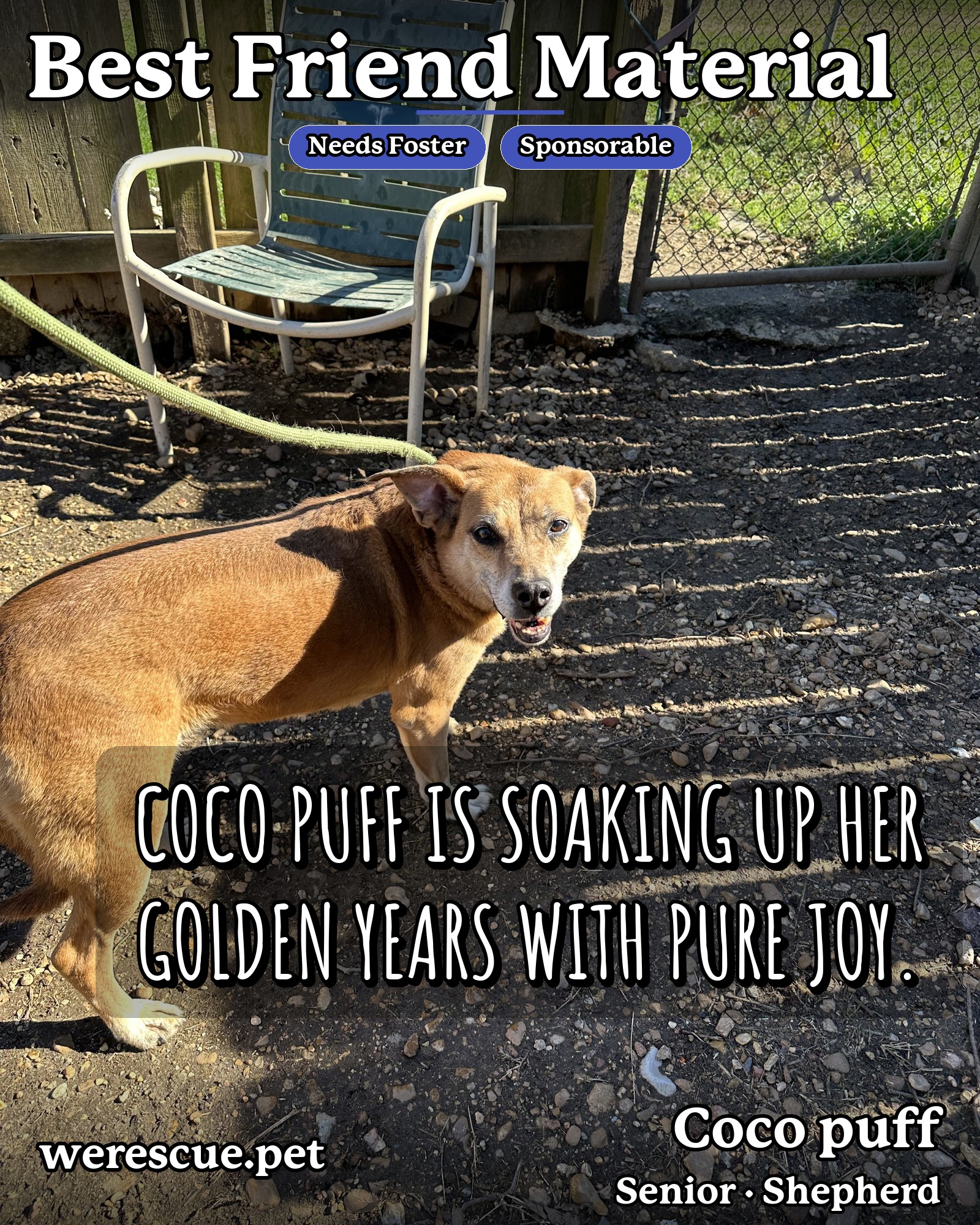 Coco puff's social media slideshow post