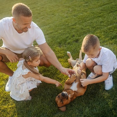 Adopting with Kids: The Complete Family Guide to Choosing the Right Pet image