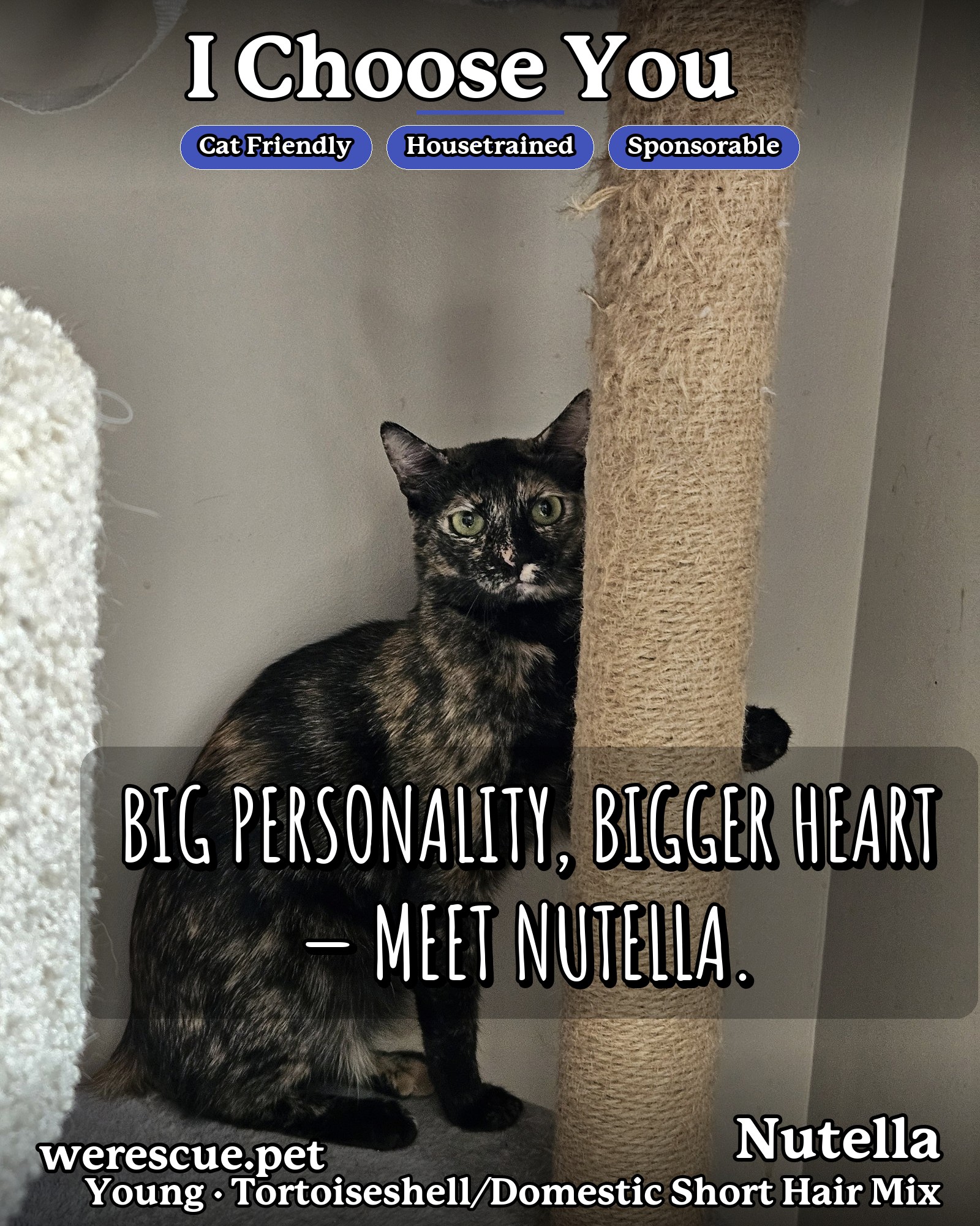 Nutella's social media photos post