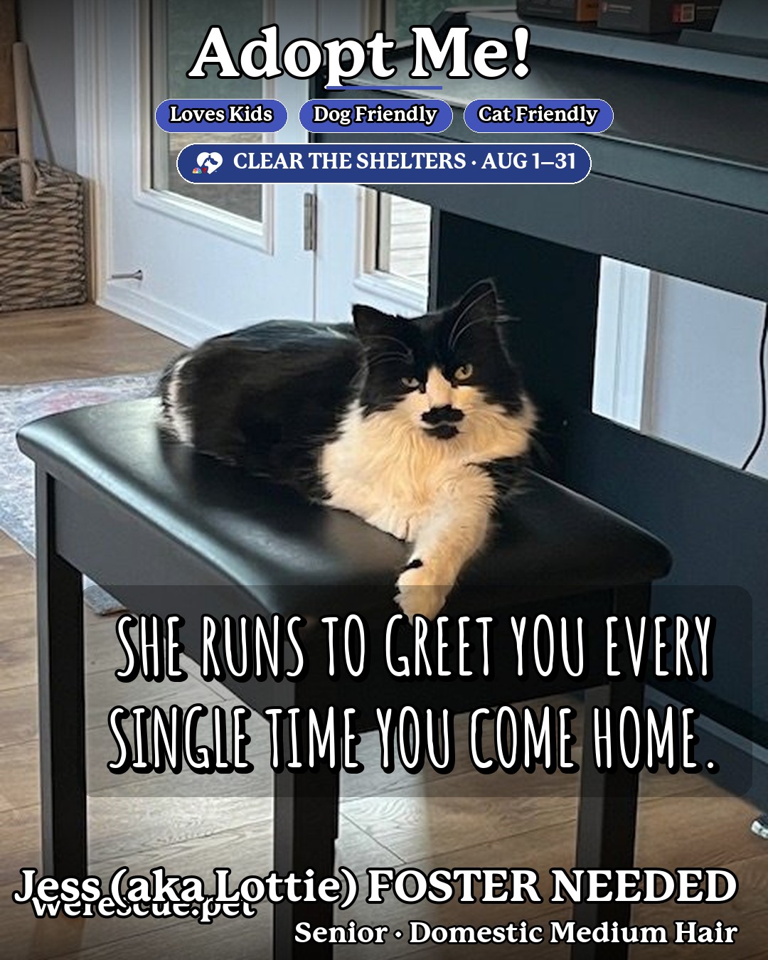 Jess (aka Lottie) FOSTER NEEDED's social media photos post