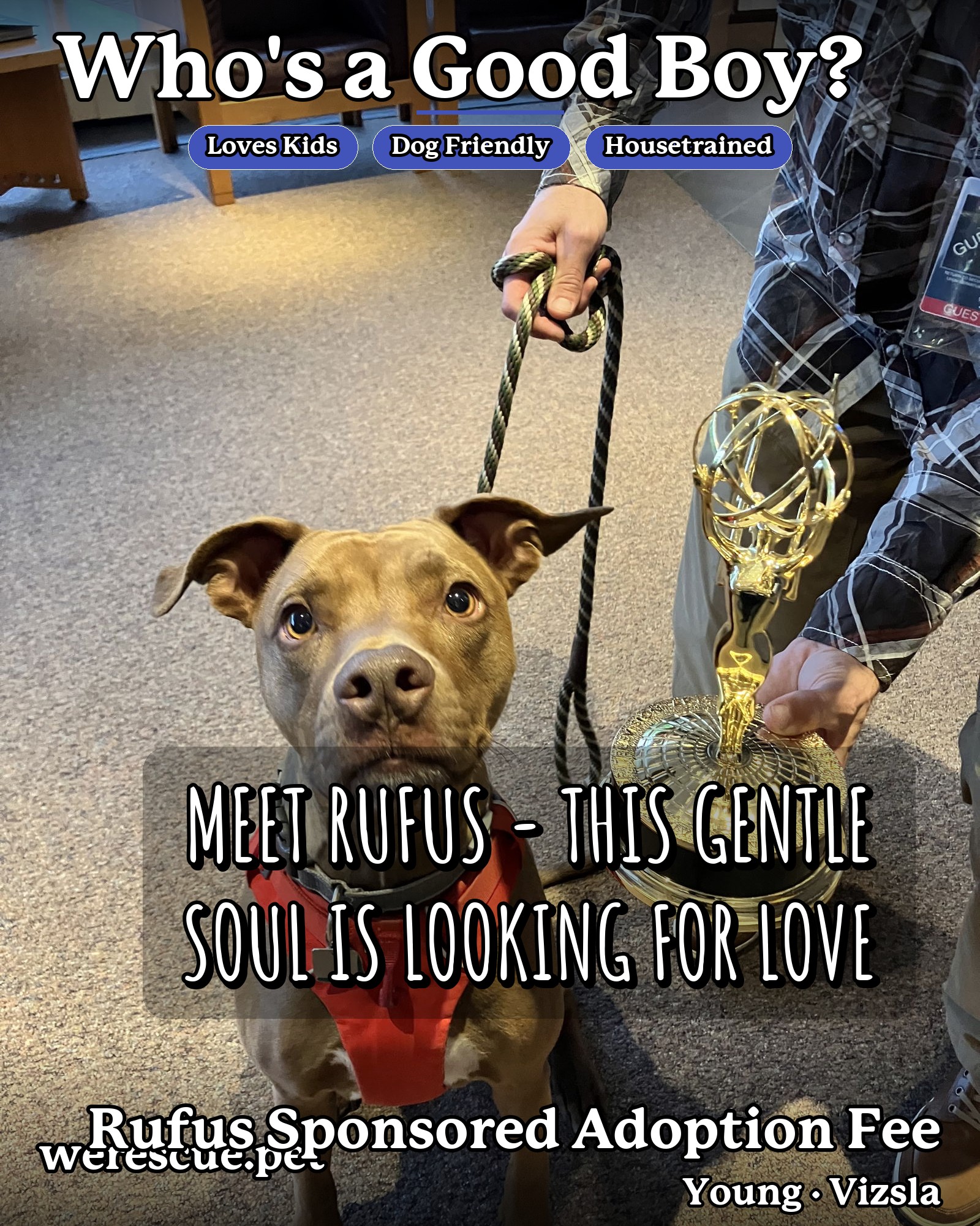 Rufus Sponsored Adoption Fee's social media photos post