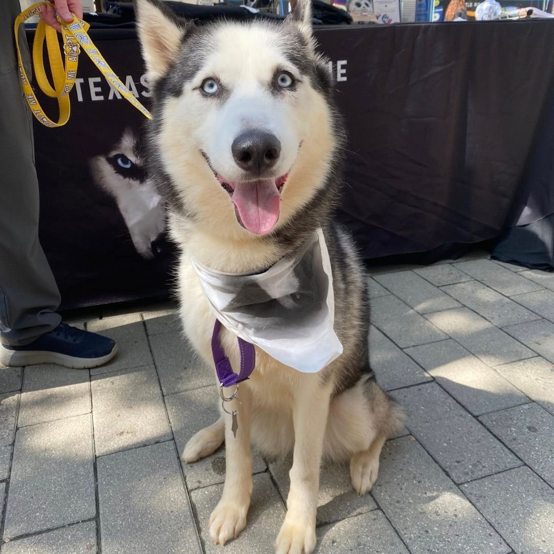 Jordyn at an event