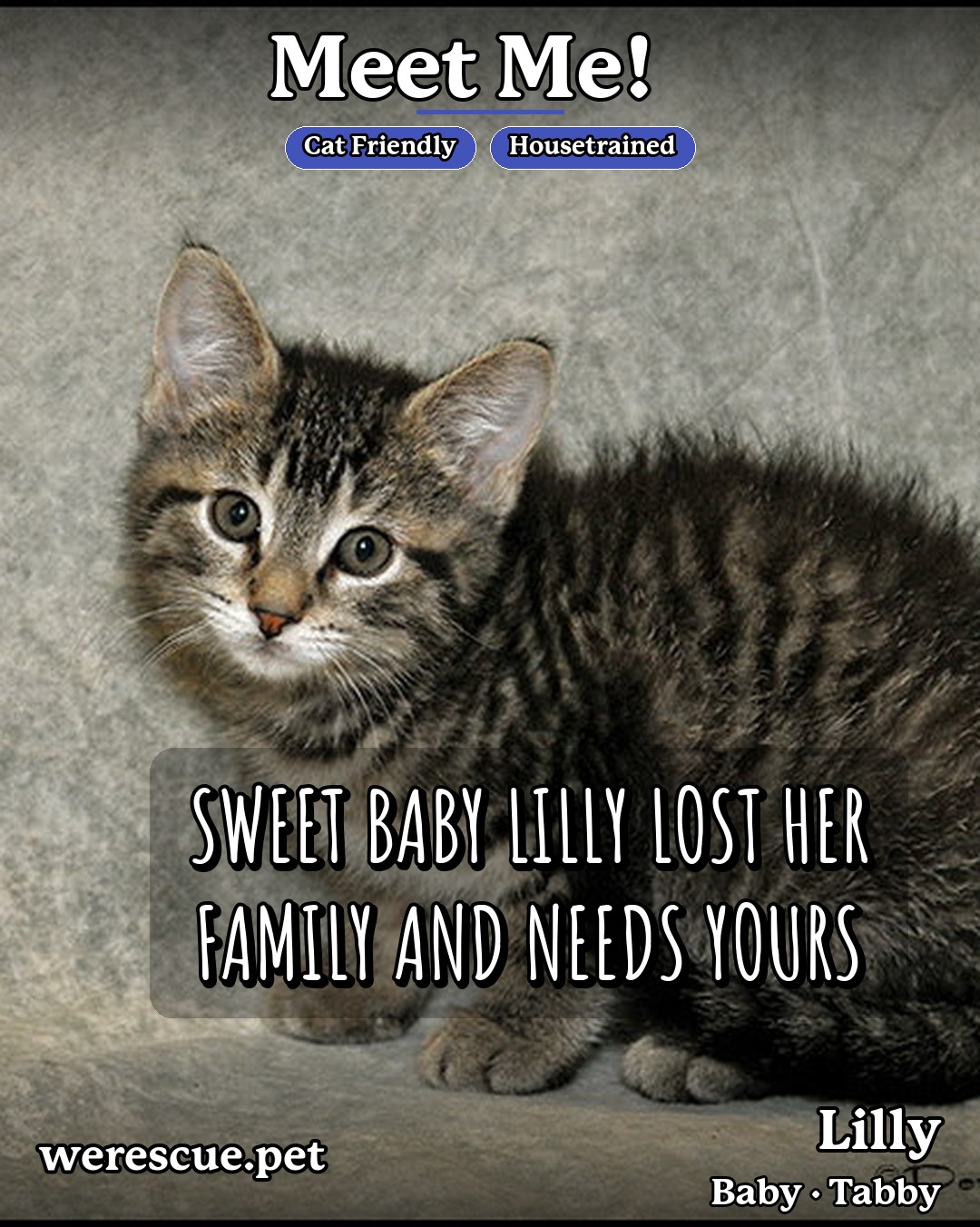 Lilly's social media slideshow post