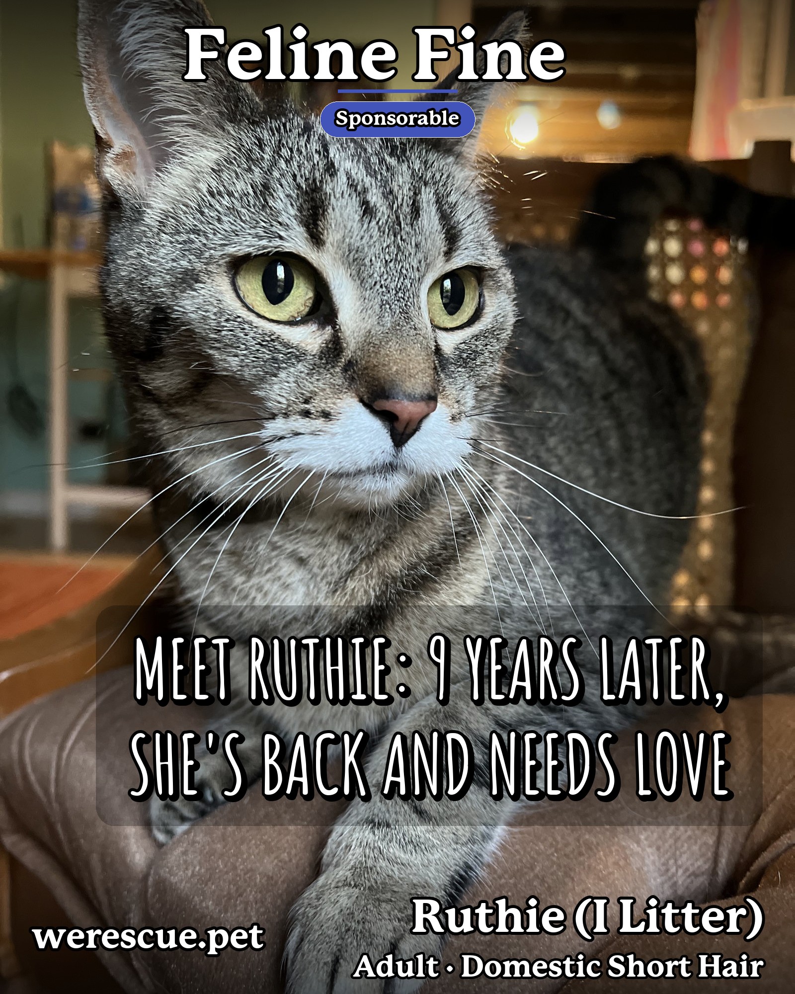 Ruthie (I Litter)'s social media slideshow post