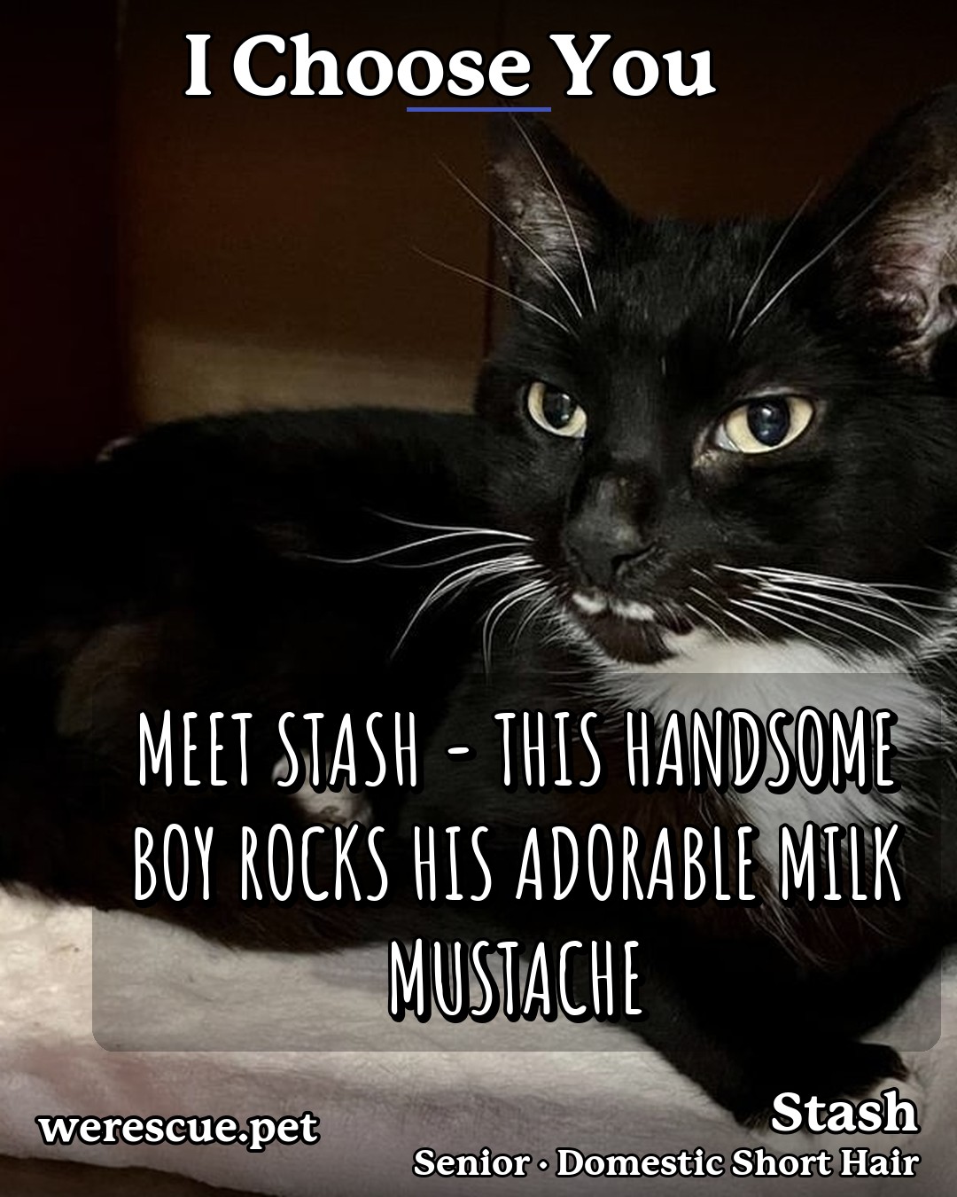 Stash's social media photos post