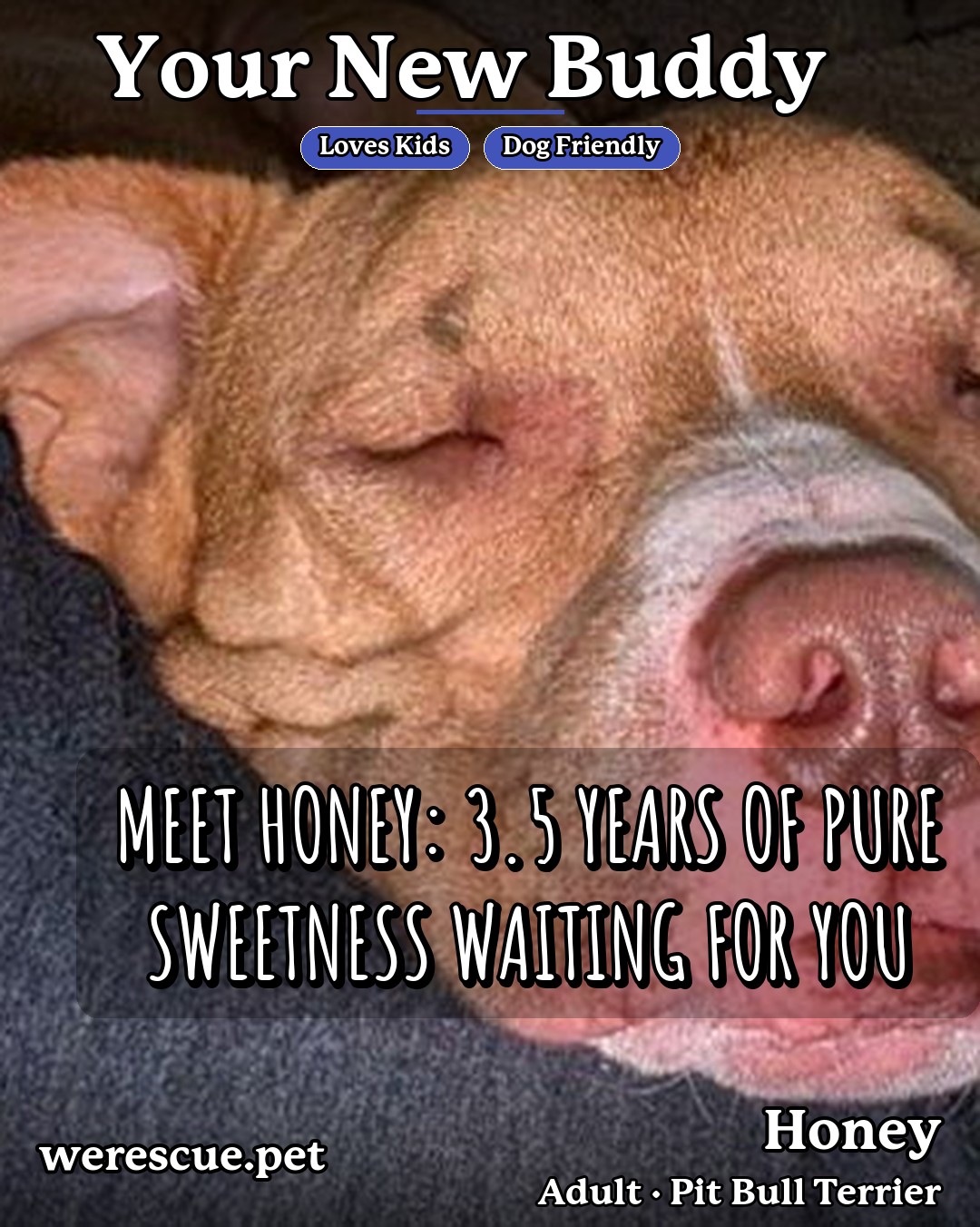 Honey's social media photos post