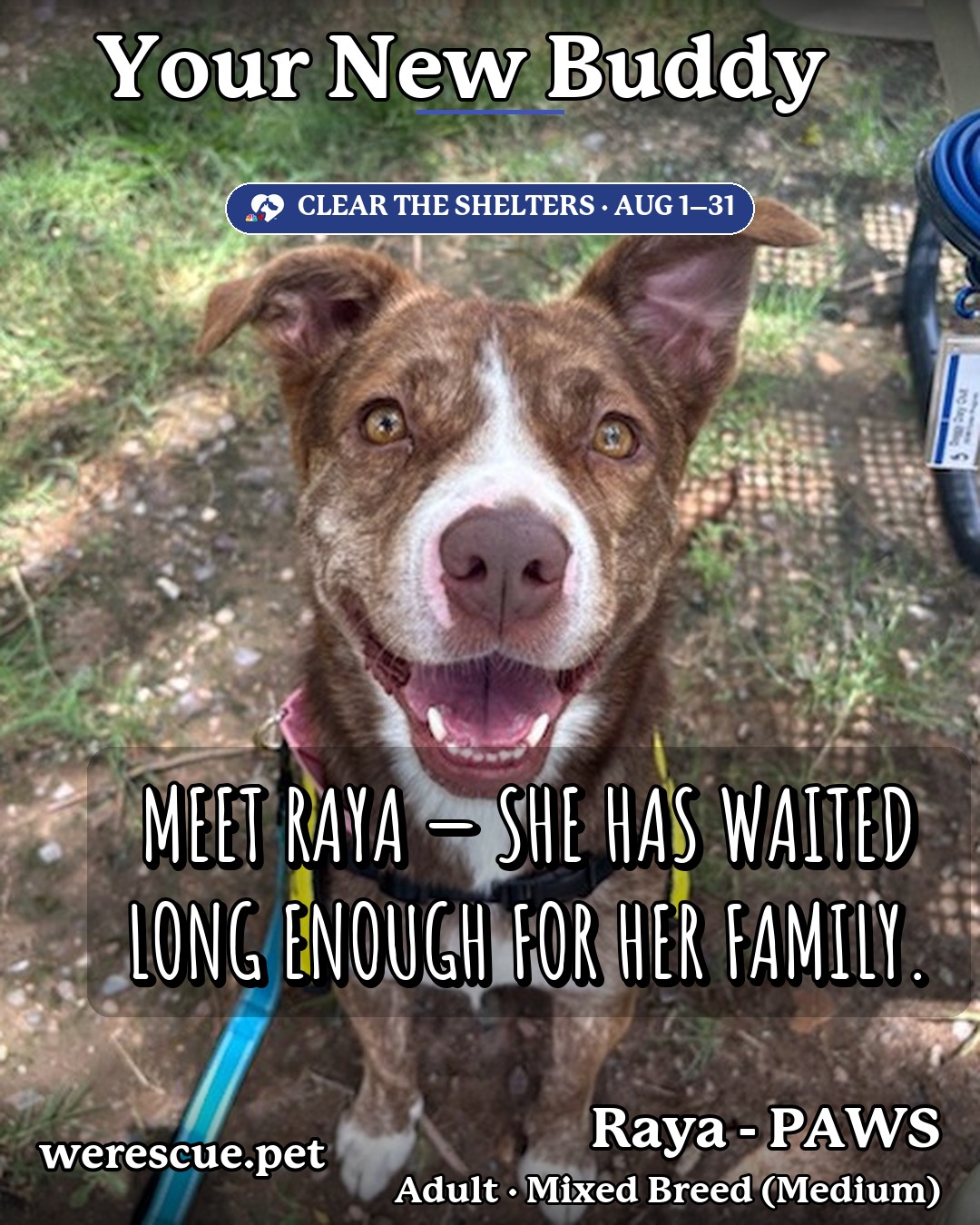 Raya - PAWS's social media photos post