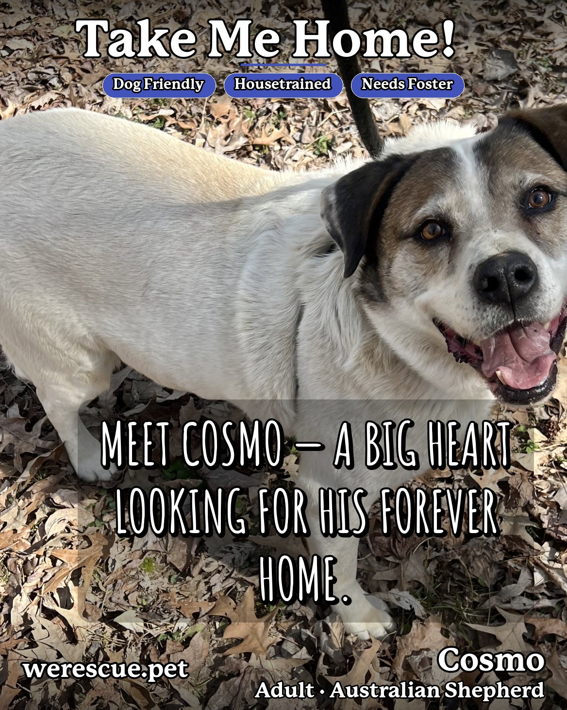 Cosmo's social media slideshow post