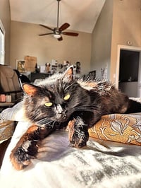 Suzannah - Photo 1