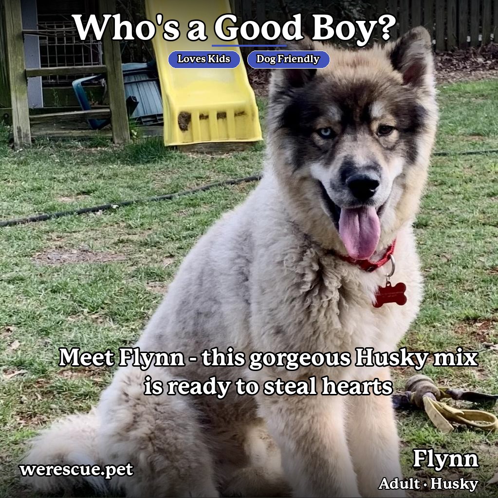 Flynn's social media photos post