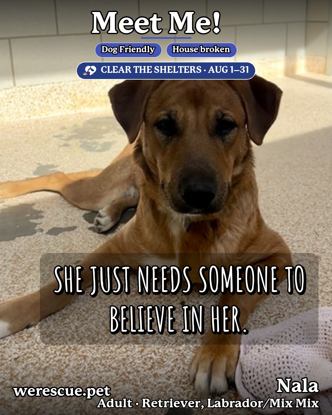 Nala's social media photos post