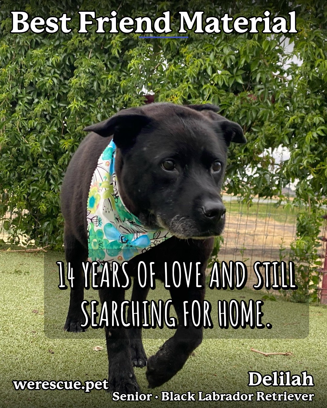 Delilah's social media photos post