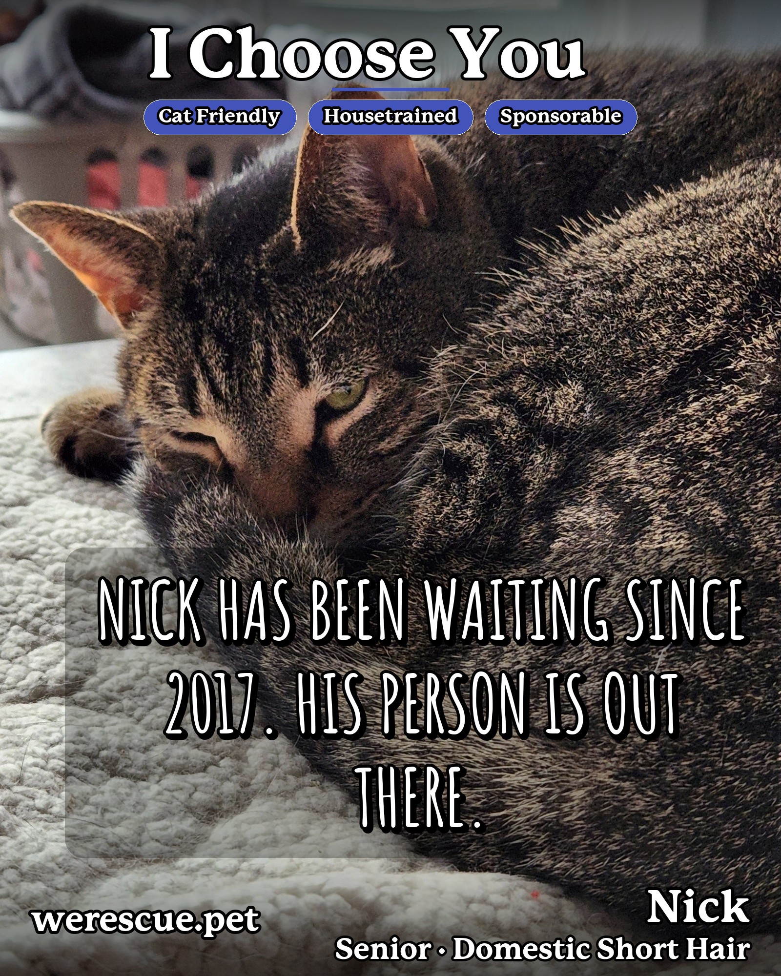 Nick's social media slideshow post