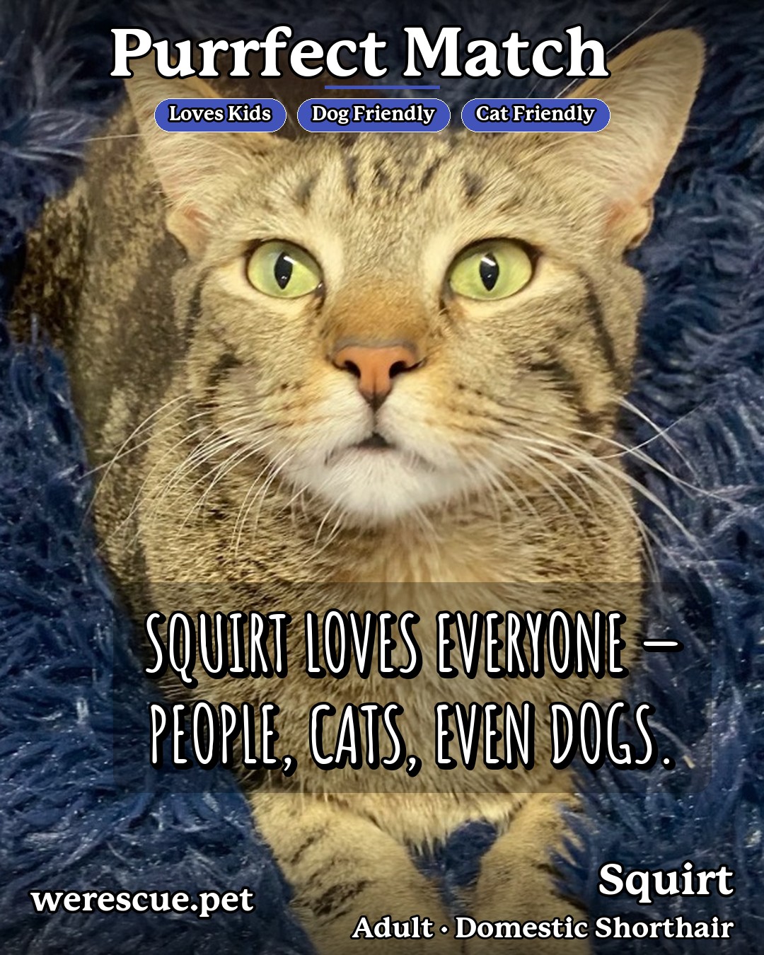 Squirt's social media photos post