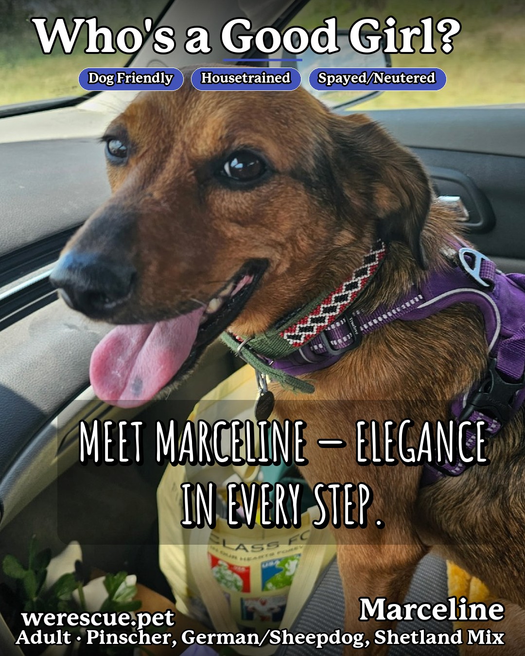Marceline's social media photos post