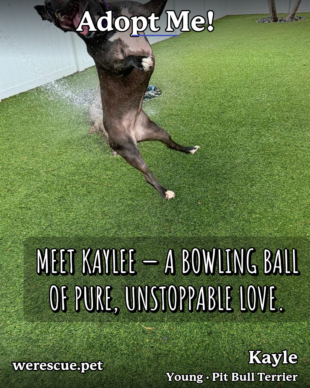 Kayle's social media photos post