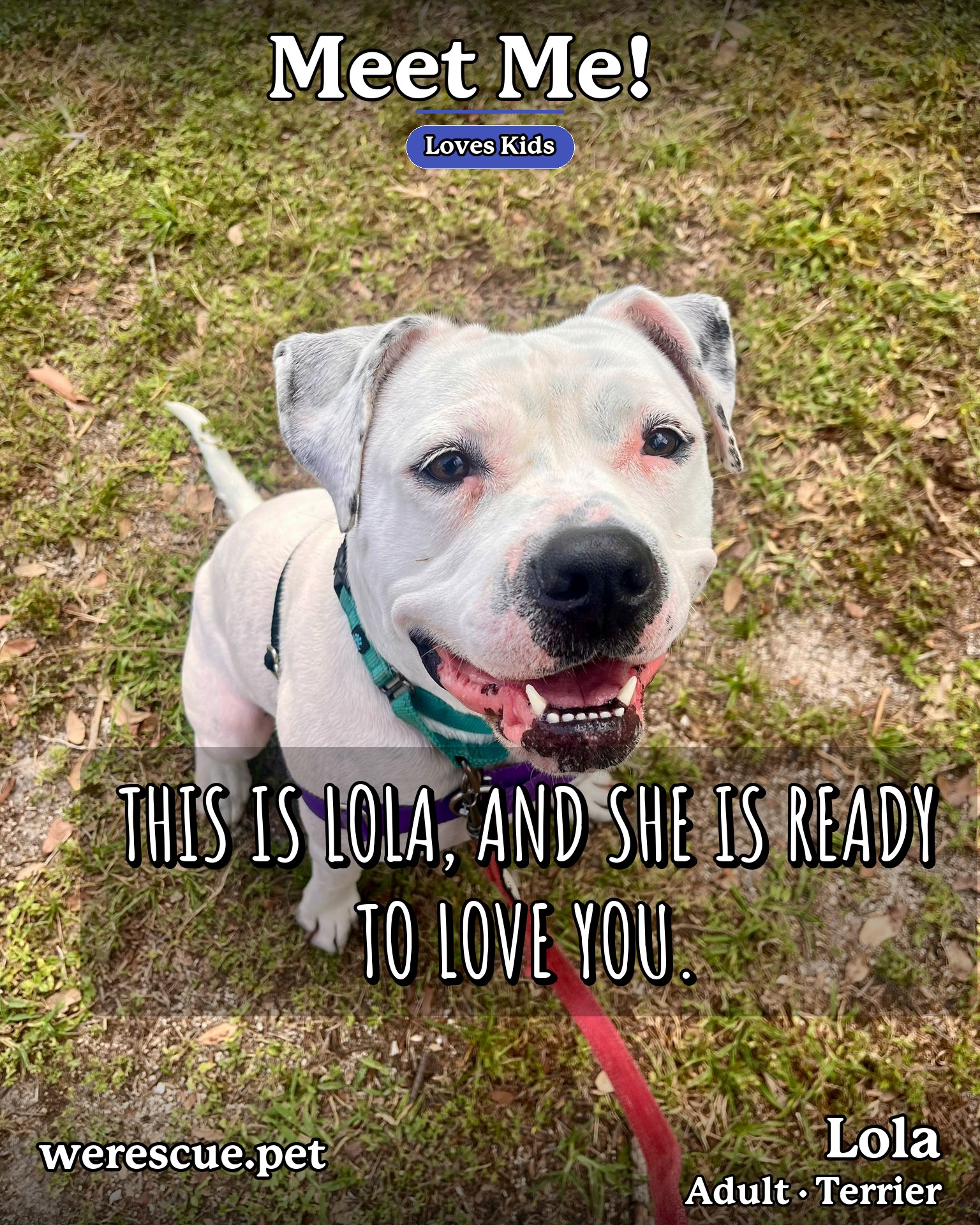 Lola's social media photos post