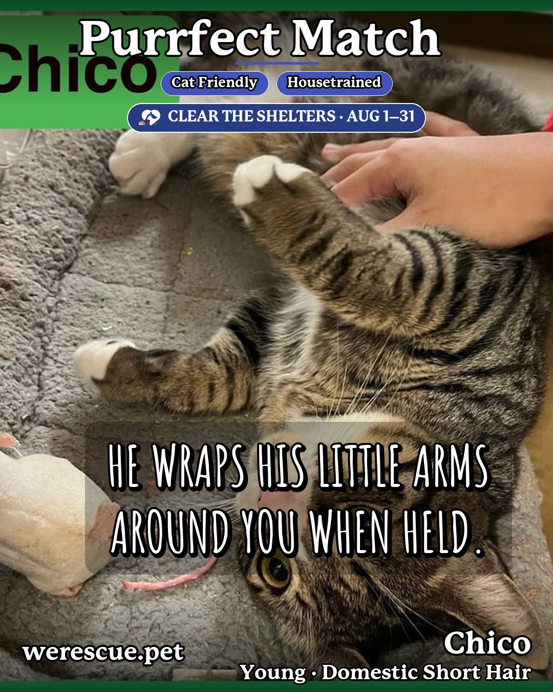 Chico's social media photos post