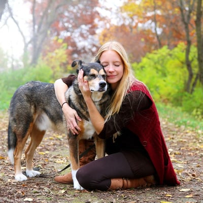 Complete Lifetime Pet Care Guide: Shelter to Senior Years image