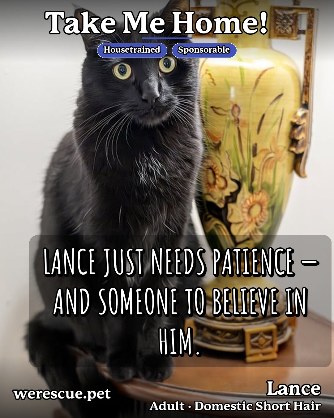 Lance's social media photos post