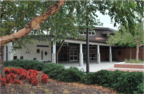 Peninsula Regional Animal Shelter facility