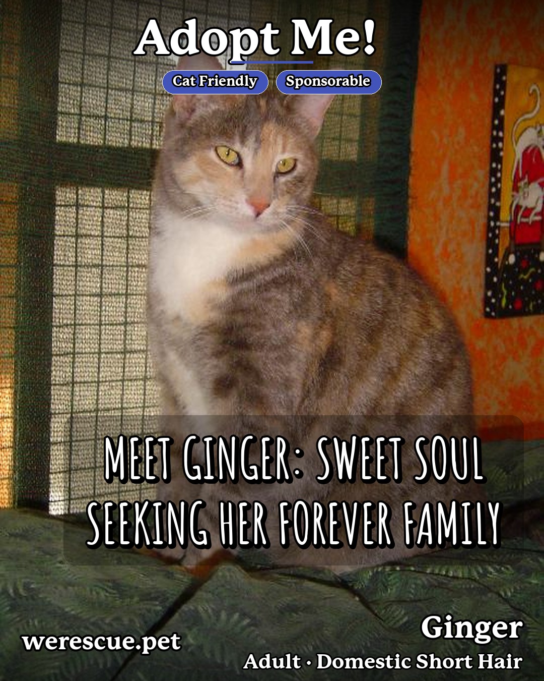 Ginger's social media photos post