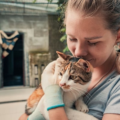 Animal Shelter Volunteer Guide: Start Making a Difference Today