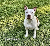 Karissa - Photo 1