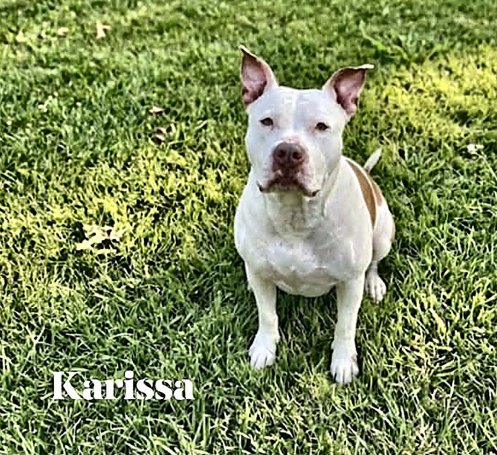 Karissa Image