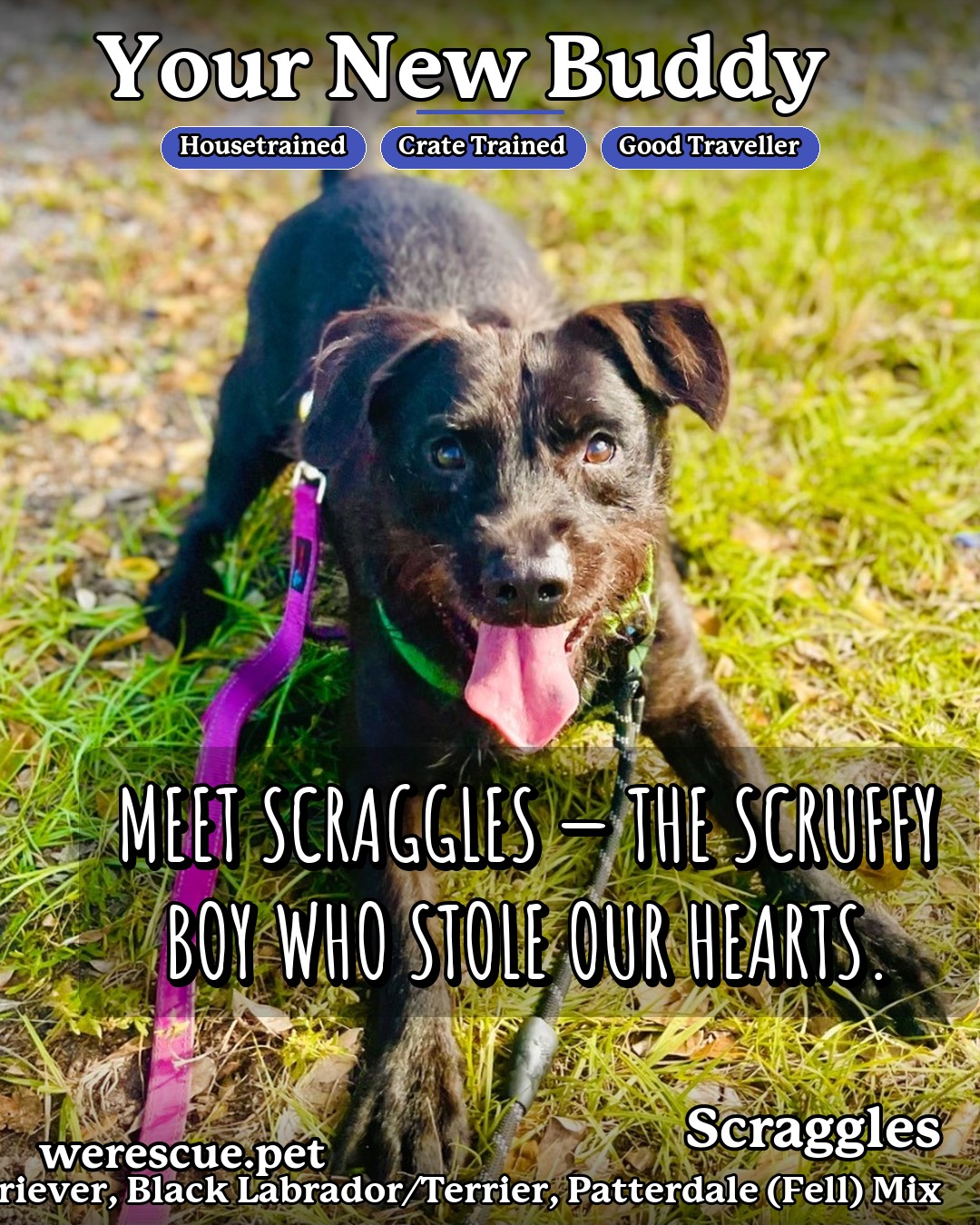 Scraggles's social media photos post