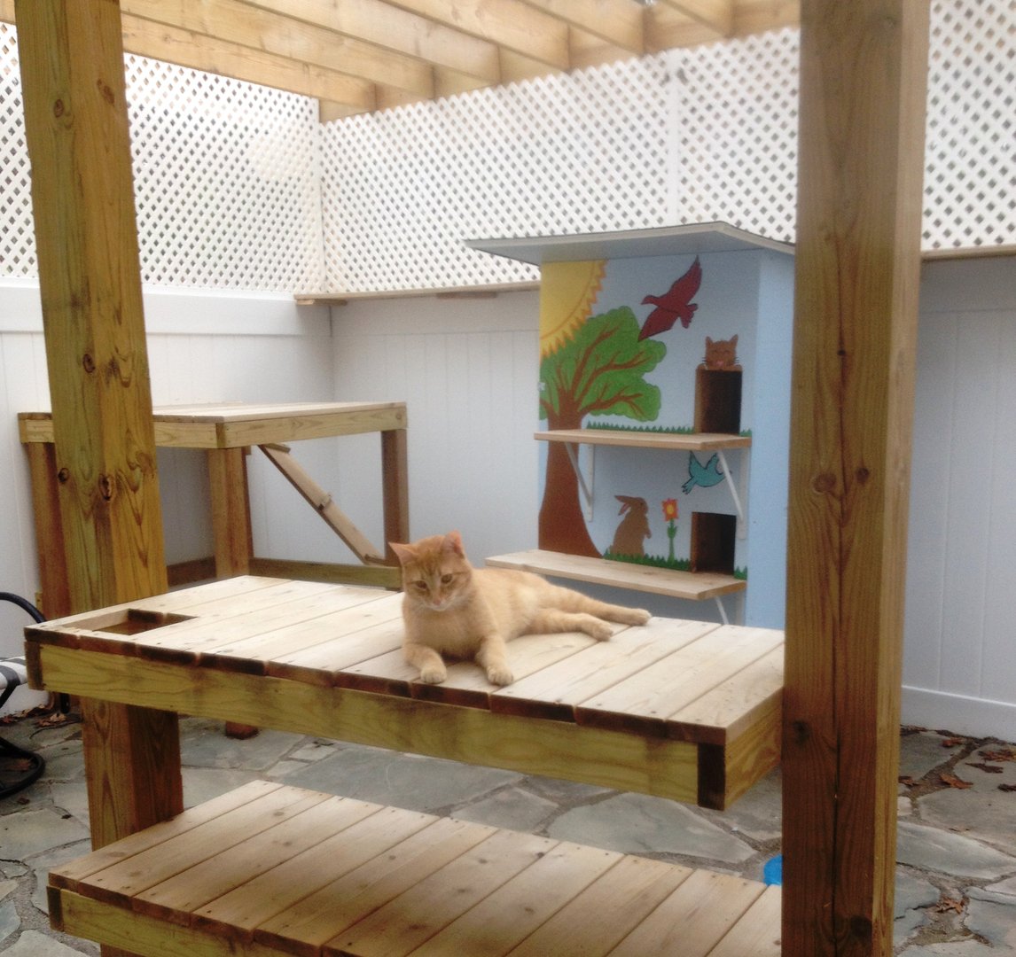 Sunshine's Friends Cat and Dog Rescue facility
