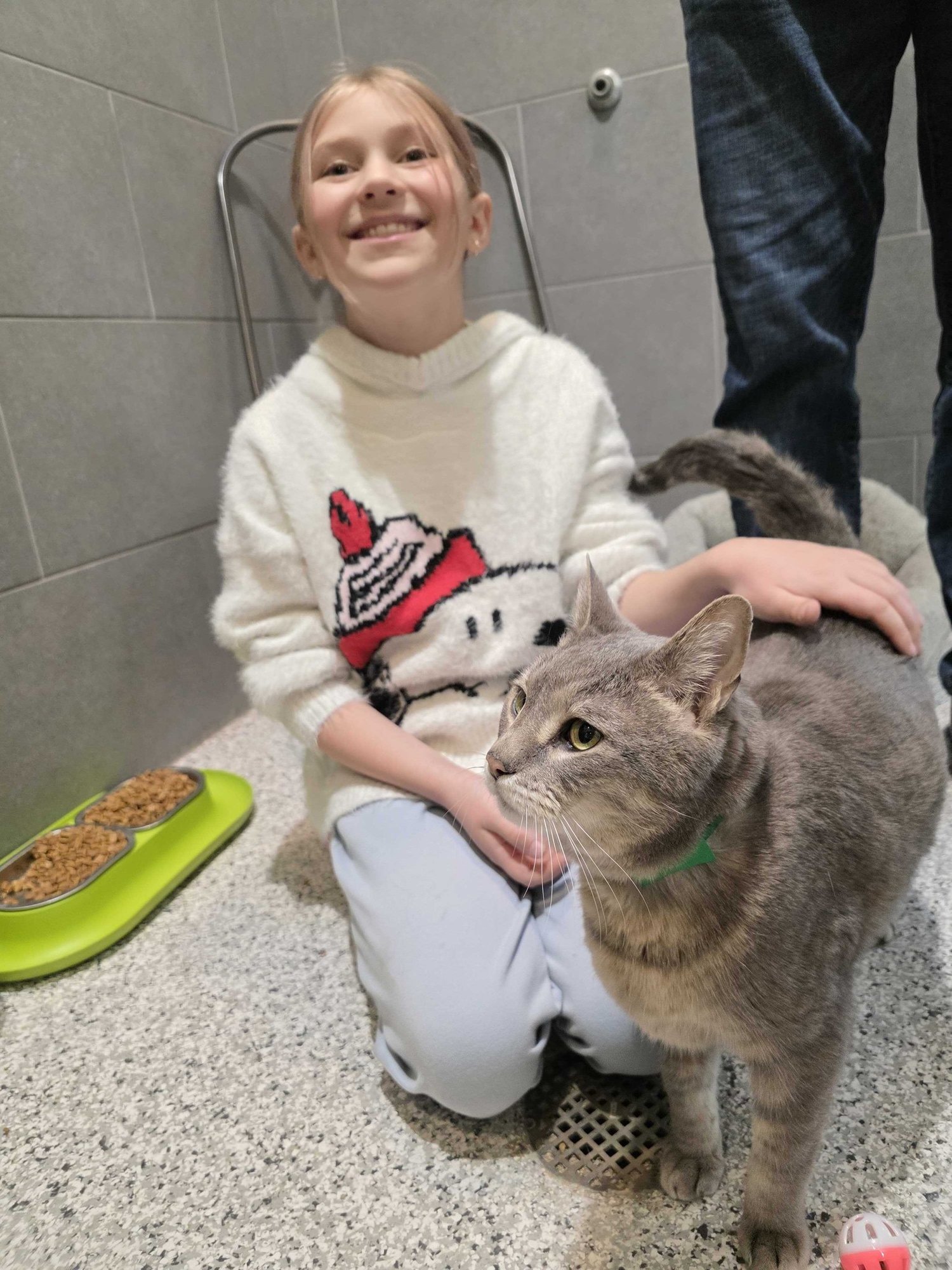 Humane Society of Boulder Valley facility