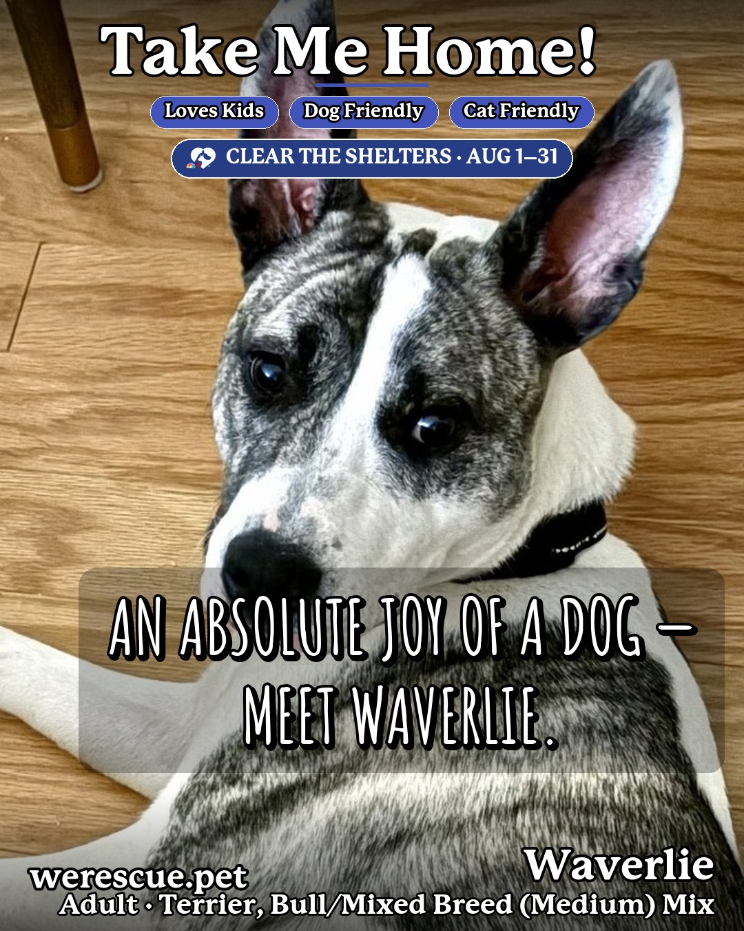 Waverlie's social media photos post