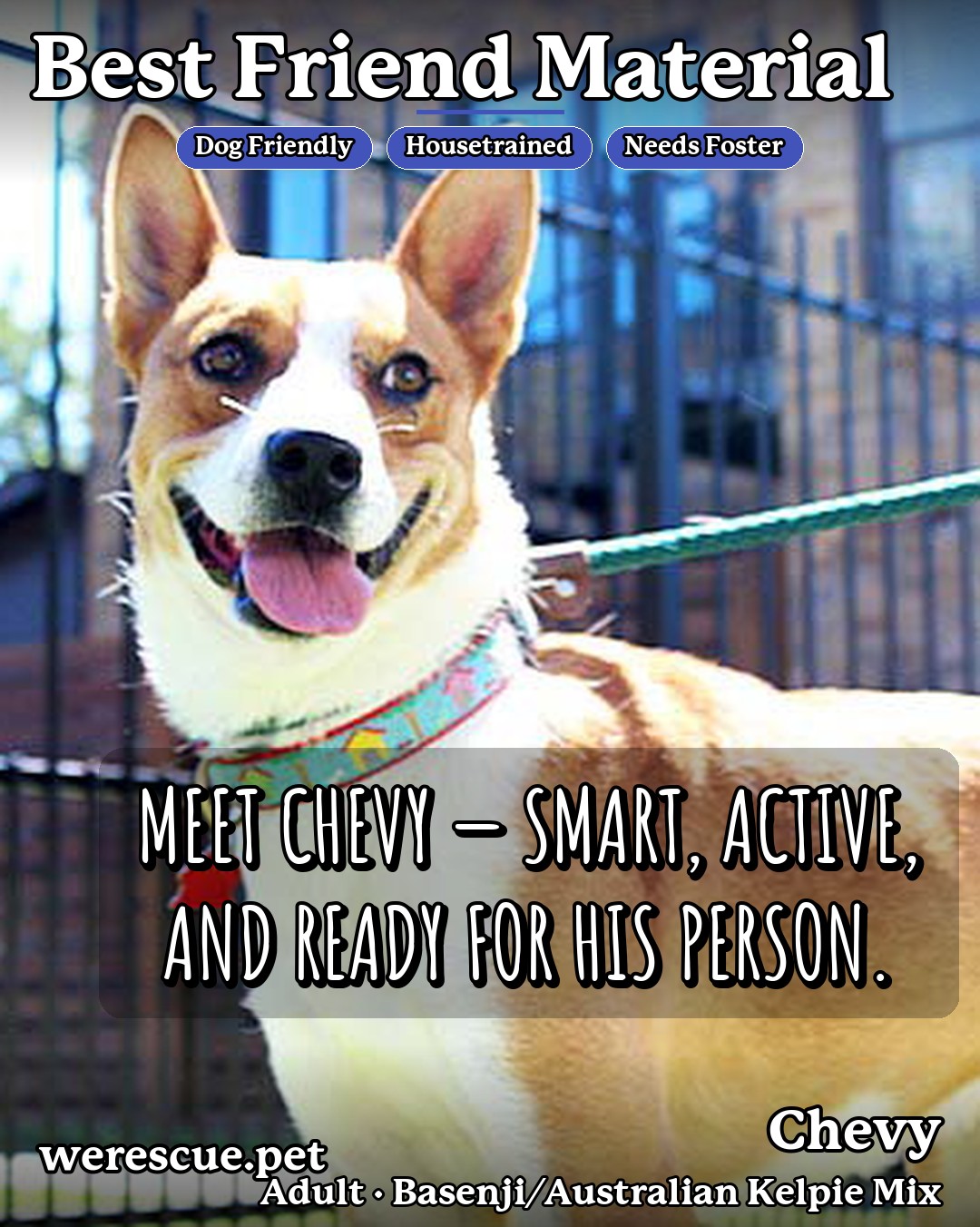 Chevy's social media photos post