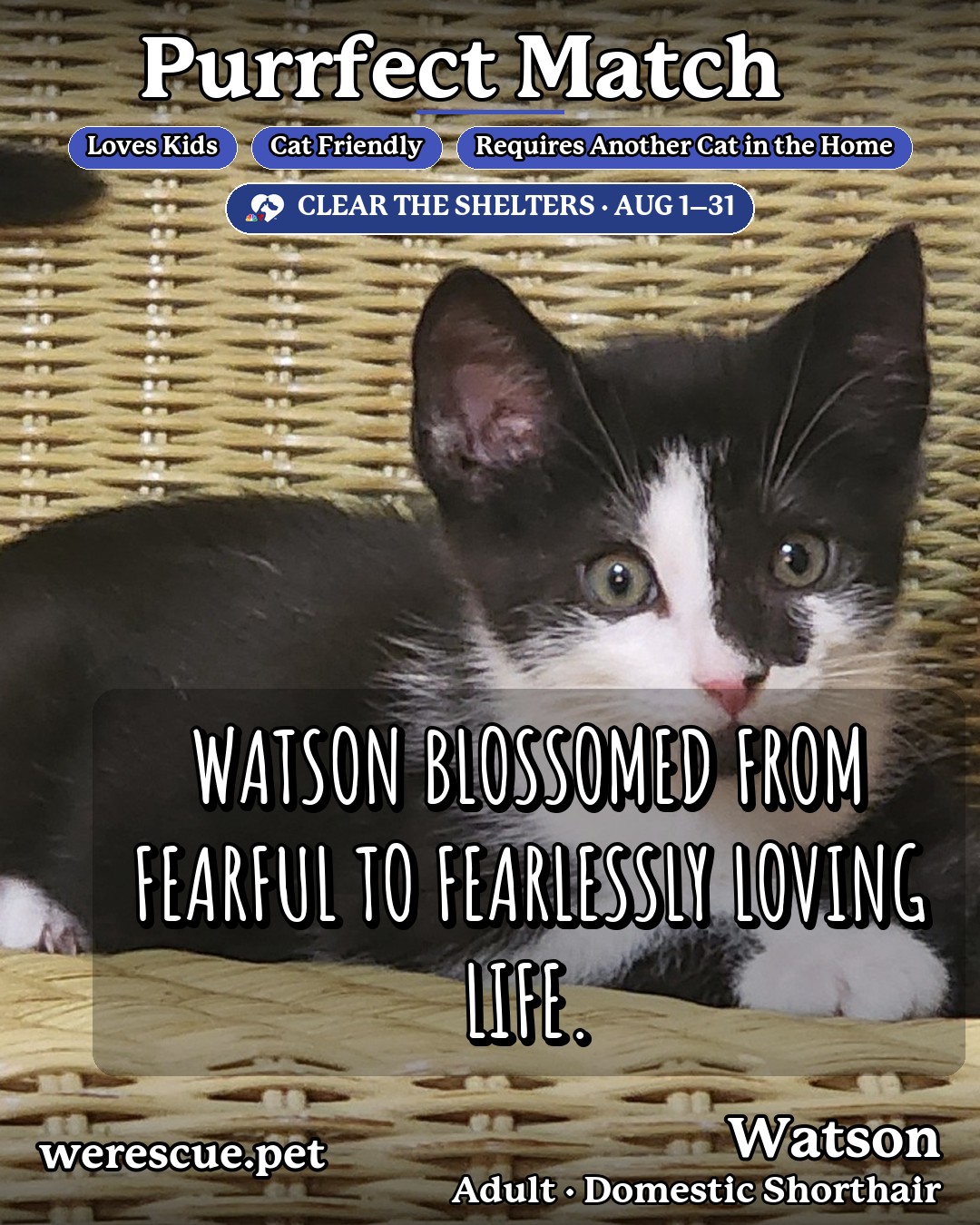 Watson's social media photos post
