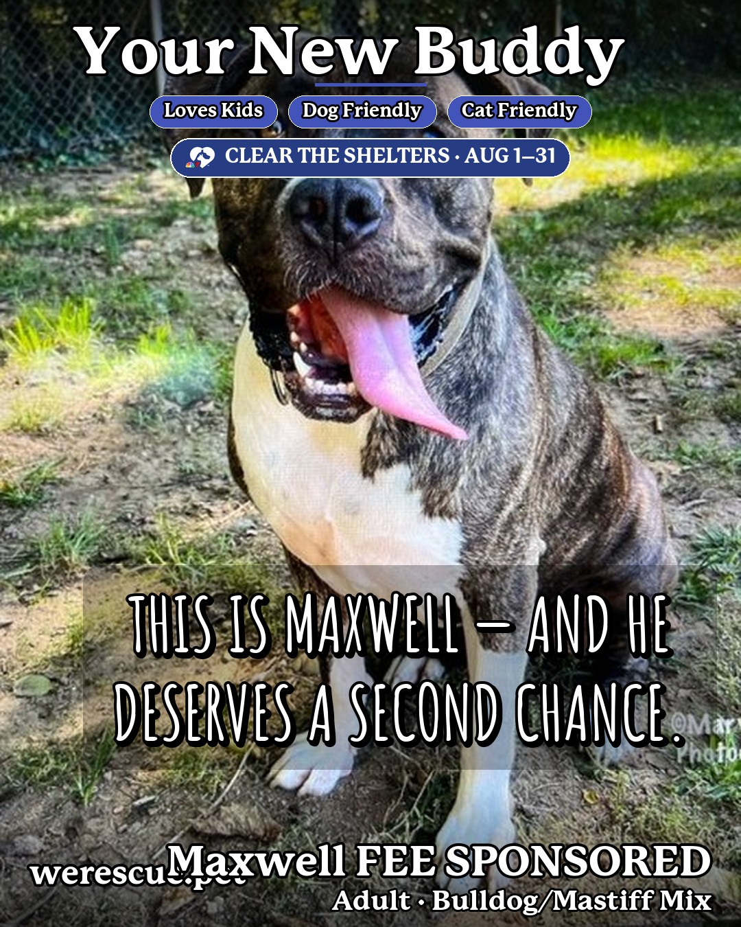 Maxwell FEE SPONSORED's social media photos post